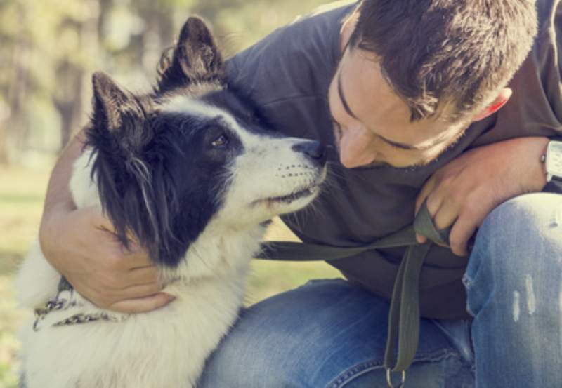 Le professioni ideali per chi nutre un amore genuino, sincero ed incondizionato per gli animali