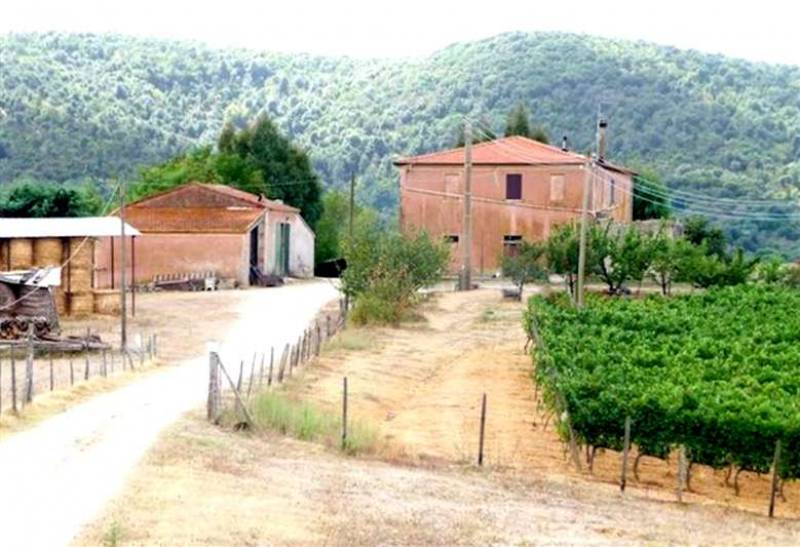 Azienda agricola: come avviarne una