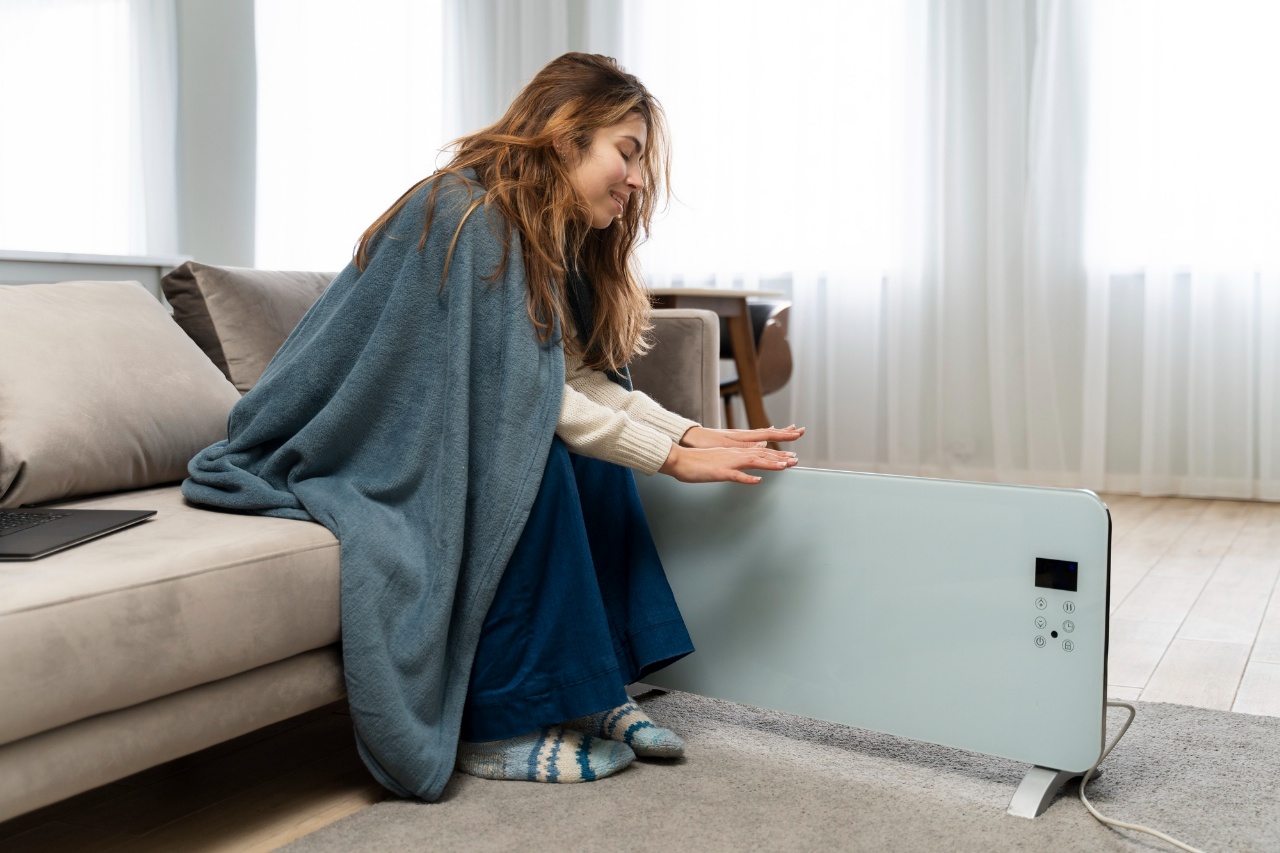 Come scegliere una stufa elettrica: consigli per una casa calda e accogliente